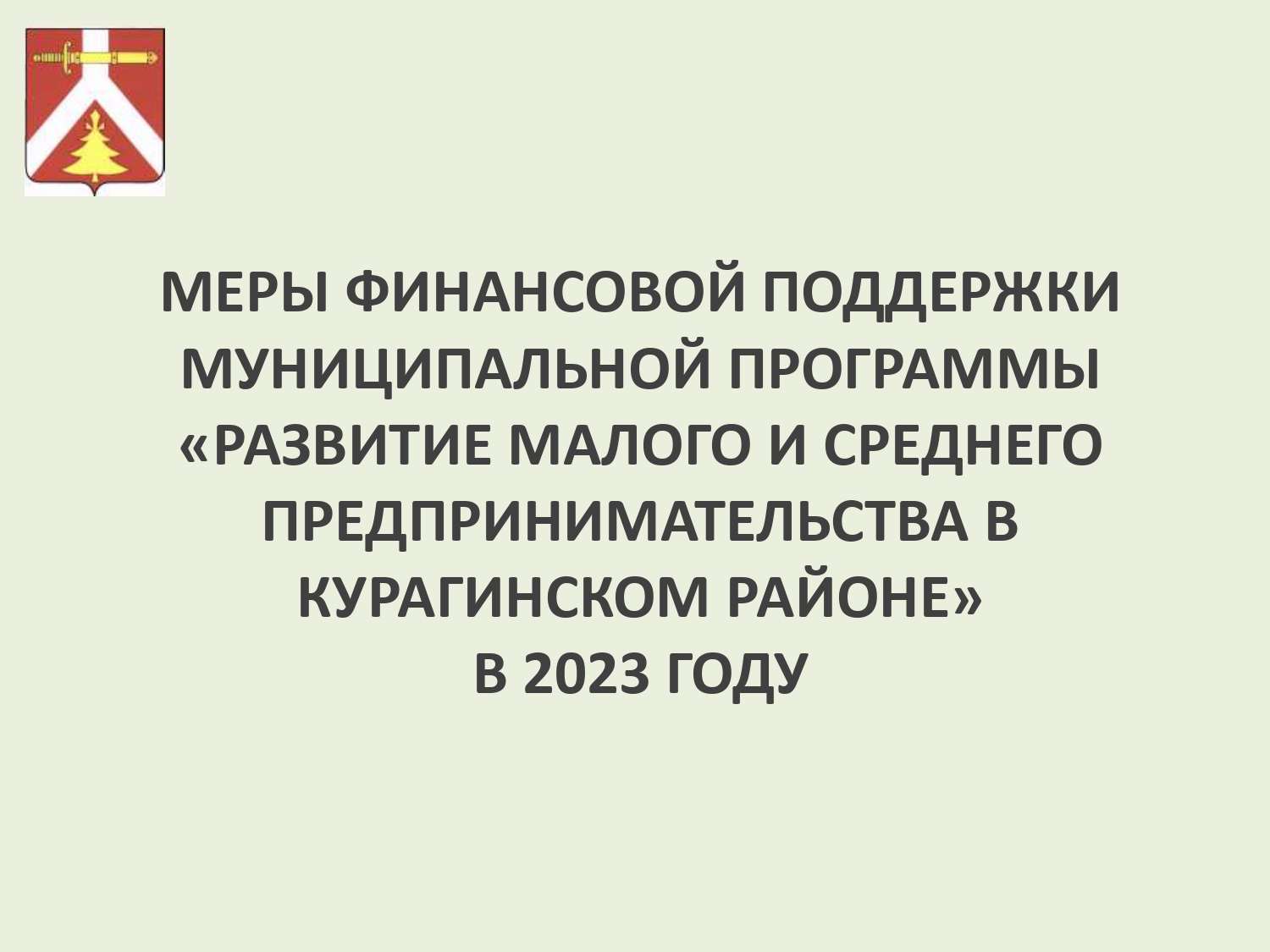 Презентация &quot;Меры финансовой поддержки 2023&quot;.