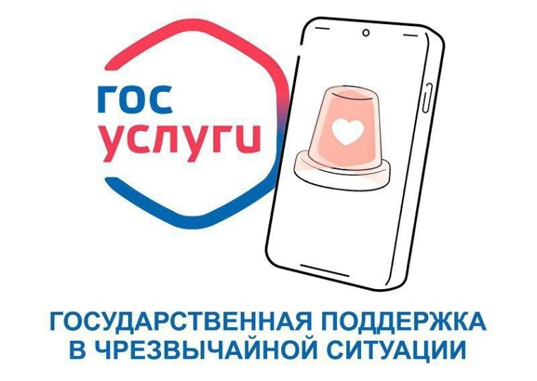Государственная поддержка в чрезвычайной ситуации. Государственная поддержка в чрезвычайной ситуации.